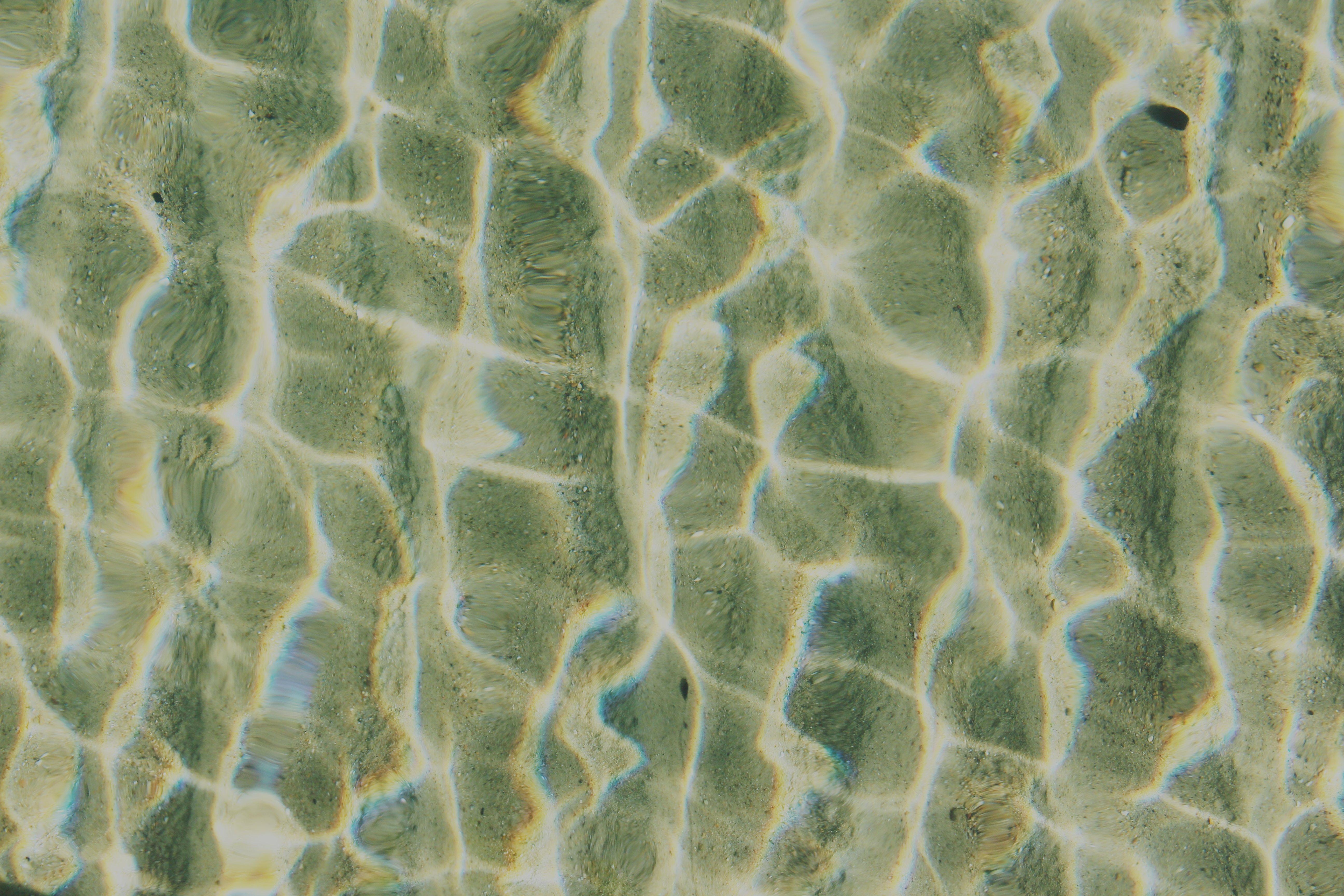 Left Image
